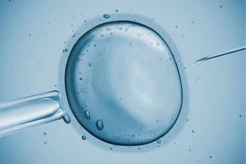 Fertility Preservation
