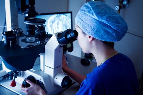 In-Vitro Fertilization (IVF treatment)