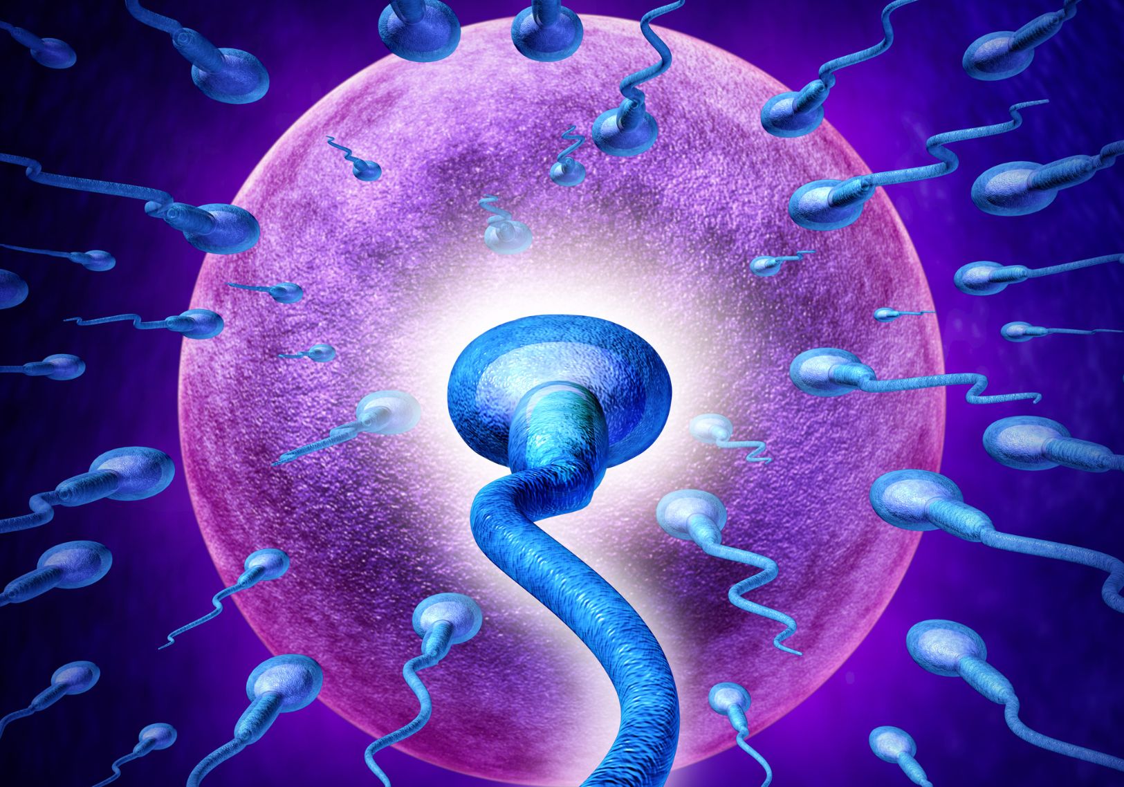 Fertility Preservation