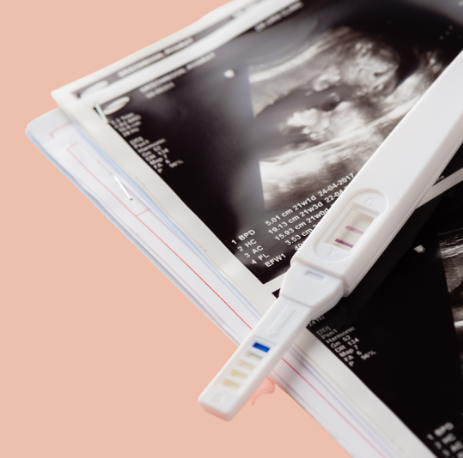 screenshot-from-2023-06-01-11-34-38 Early pregnancy